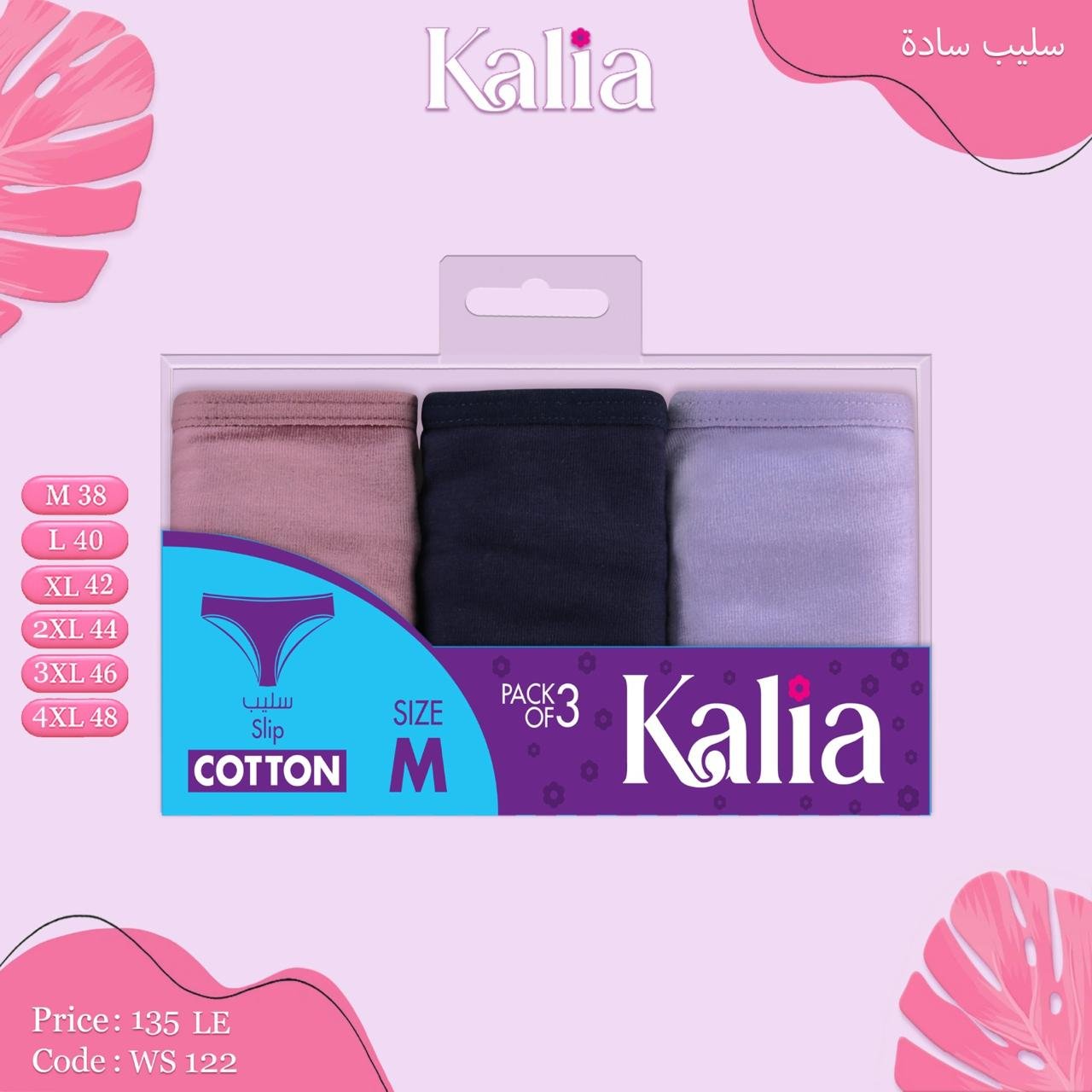 WhatsApp Image 2026-01-02 at 4.57.10 AM